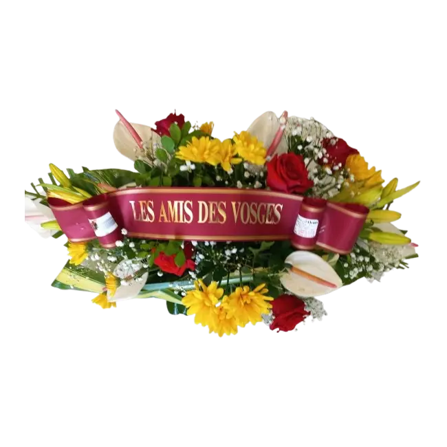 amplitude ml diffusion 0225