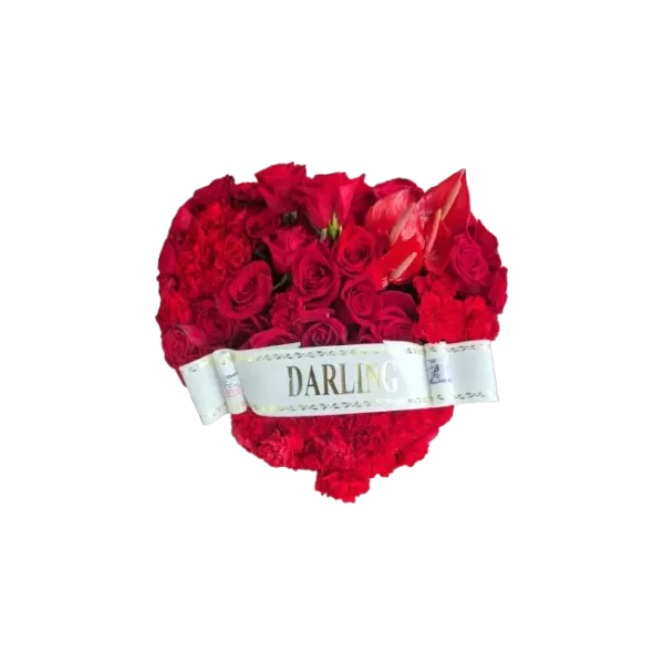 gros coeur rouge ml diffusion 0225